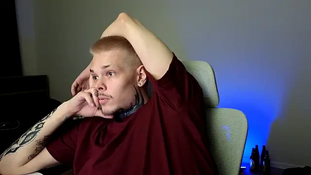 DENIS_HERE webcam