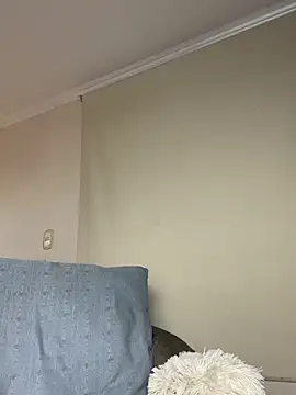 Samispank webcam