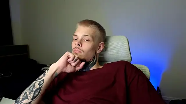 DENIS_HERE webcam
