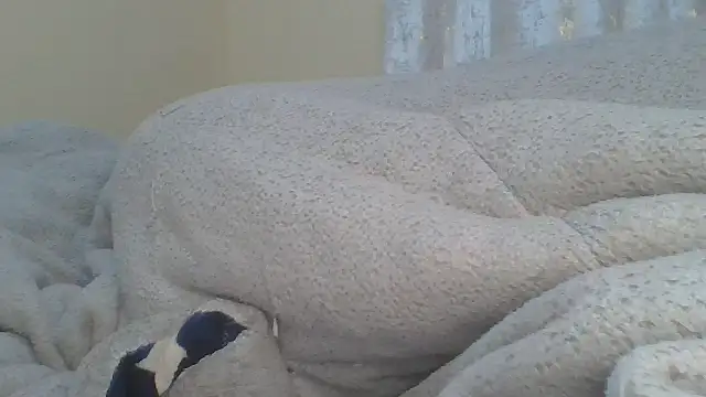 ndivhuwomuleya webcam