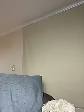 Samispank webcam