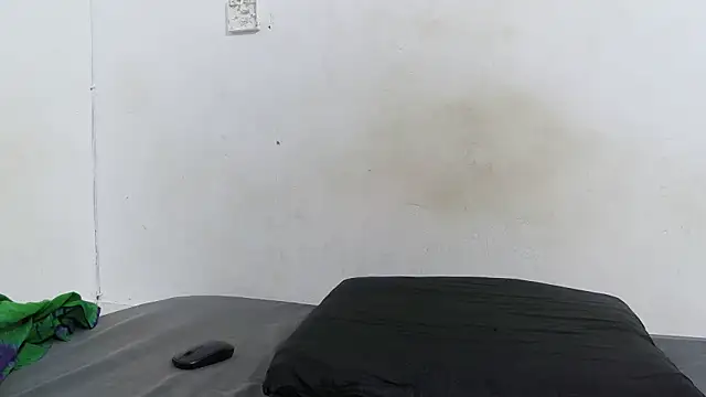 pinkycat webcam