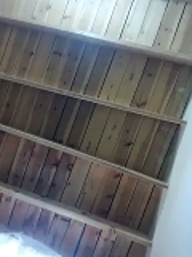 Single_lagunero webcam