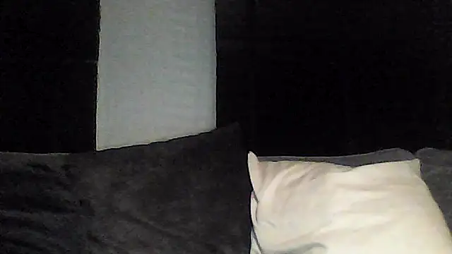 perlados webcam