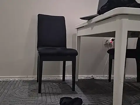 theseaman46 webcam