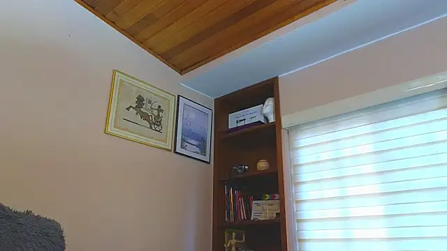 DavidsBoner webcam
