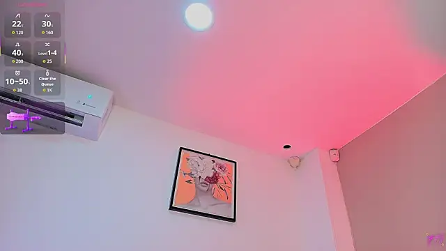 Valentiinoss webcam