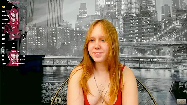 VoidElaris webcam