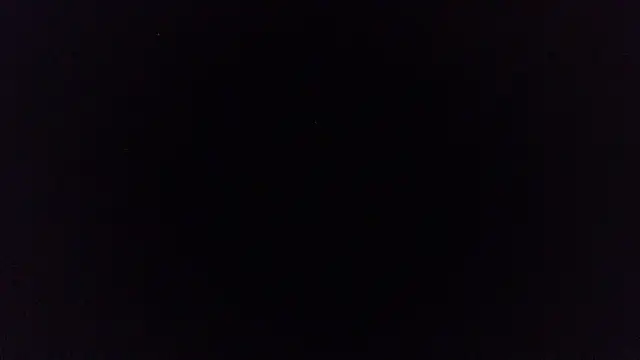 pinkycat webcam