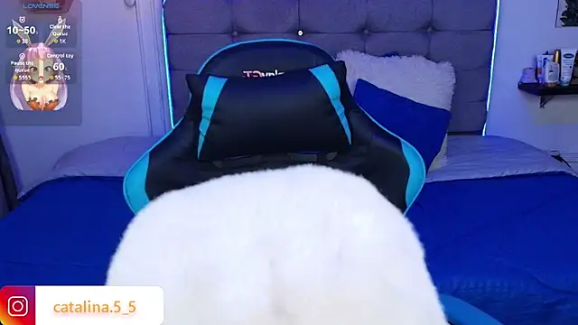 Kata_Bigboobs webcam