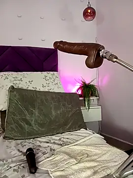 haileystone webcam