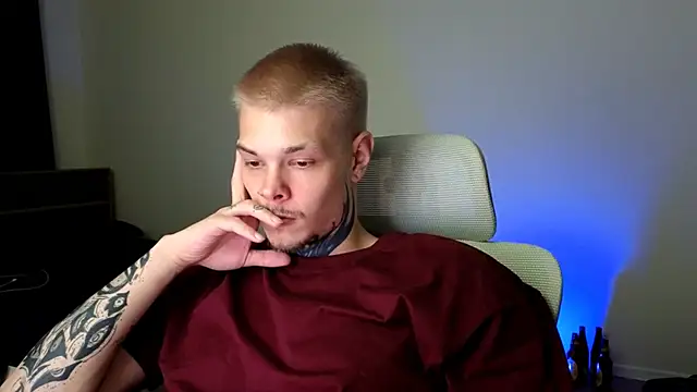DENIS_HERE webcam