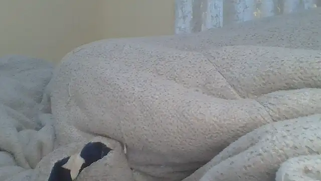ndivhuwomuleya webcam
