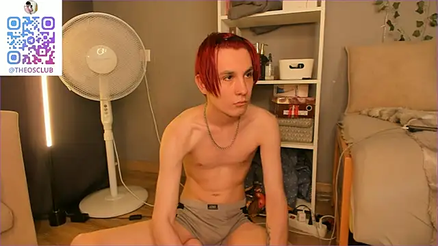 SolarFringe webcam