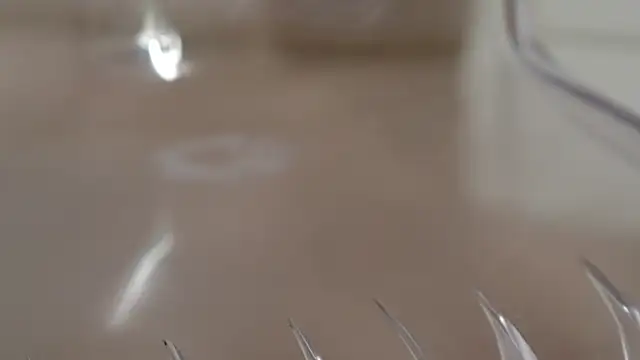 KittyCaitlin webcam