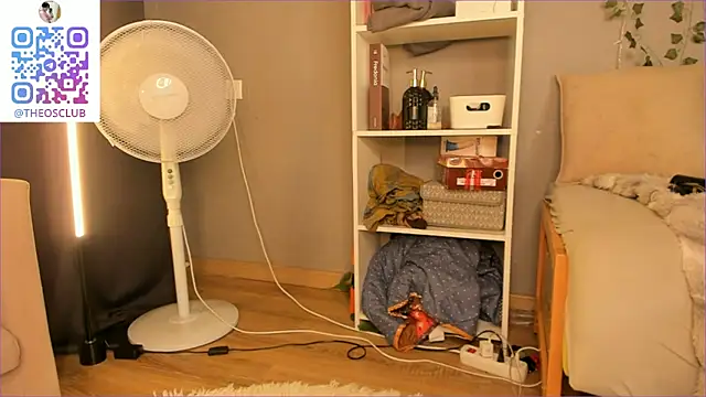 SolarFringe webcam