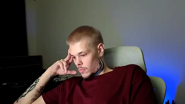 DENIS_HERE webcam