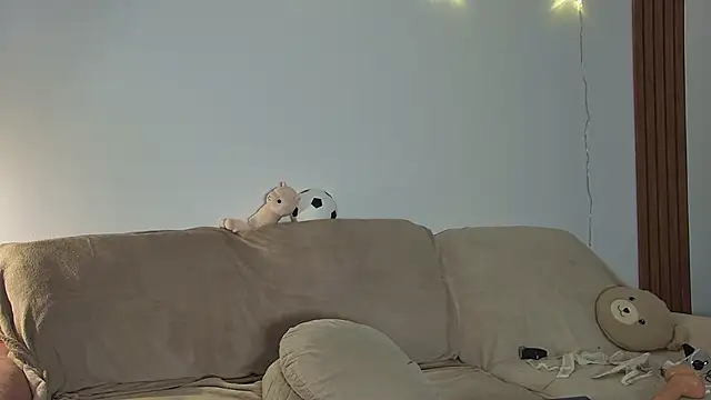 KimArts webcam