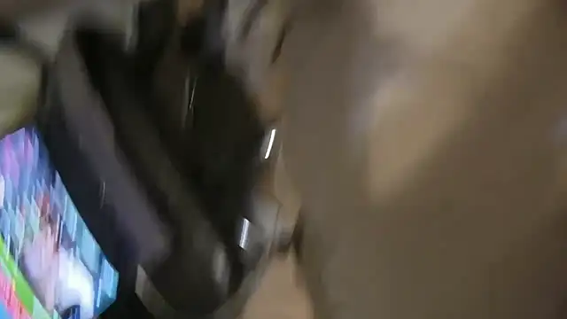 kotkite webcam