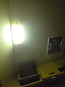 bigbog9323 webcam