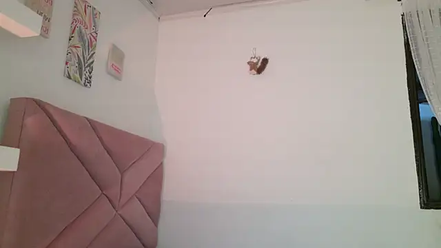 eva_sin18 webcam