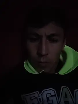 Gavii2026 webcam