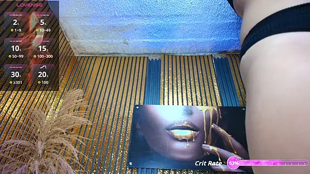 perfectmatch_ webcam