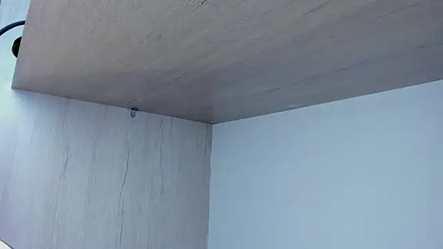 Kings_Ultimate webcam