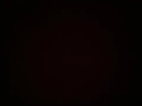 ColdVisitor webcam