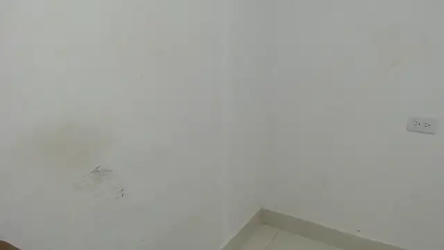 estefania224 webcam