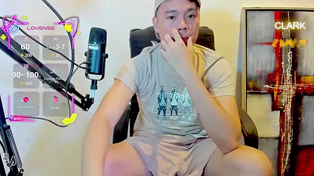clarkdangerous webcam