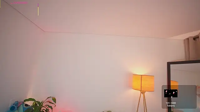 roxie_gates_ webcam