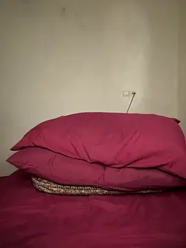 arabayla webcam