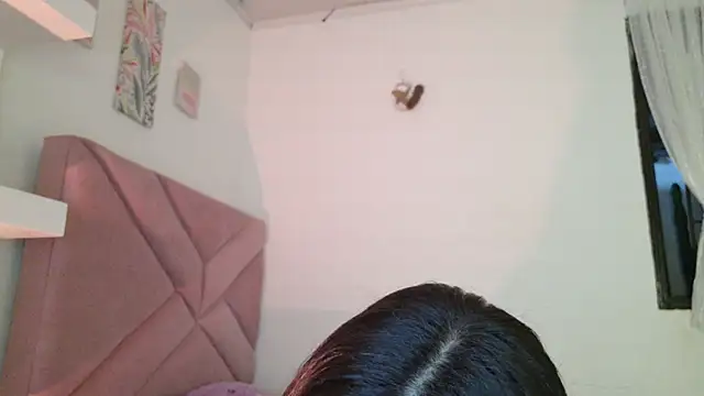 eva_sin18 webcam