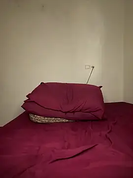 arabayla webcam