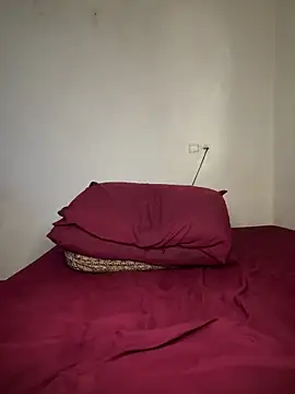 arabayla webcam