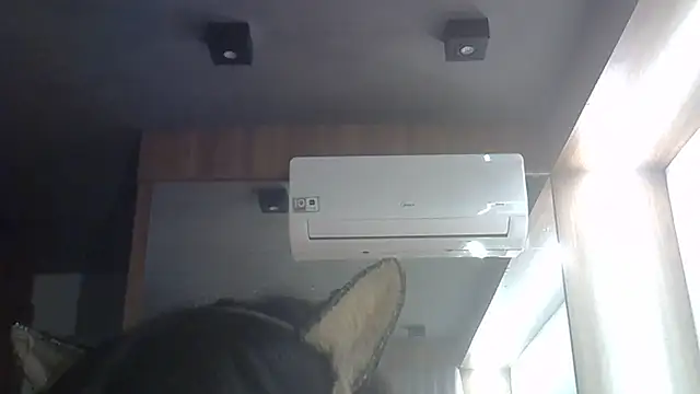 SkinnyKitten webcam