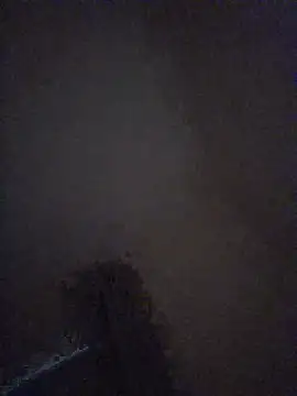 Nidge251 webcam