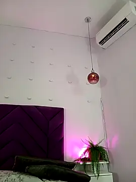 haileystone webcam