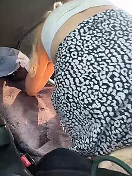 MerlinDave webcam