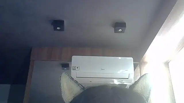 SkinnyKitten webcam
