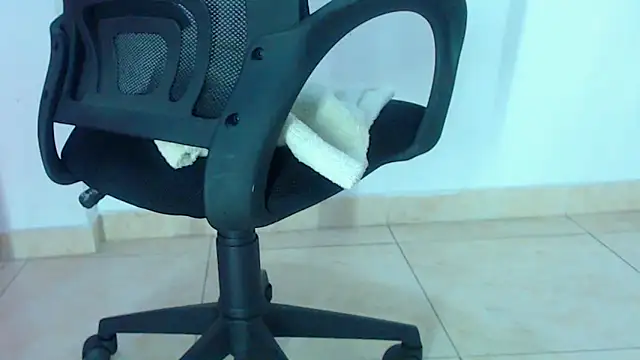 Milytylor webcam