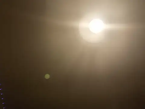 Sofialovee69 webcam