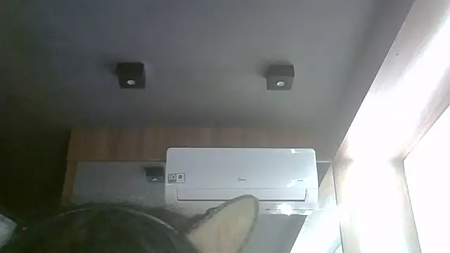 SkinnyKitten webcam