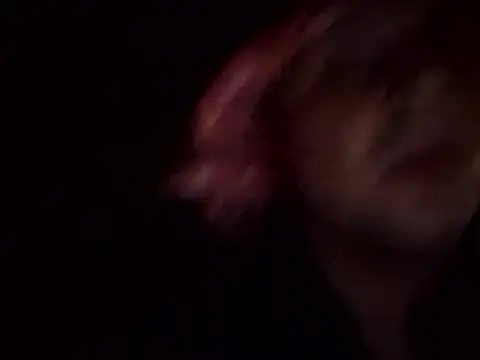 Sissy_LiaXXX webcam