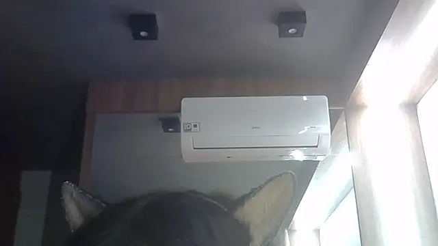 SkinnyKitten webcam