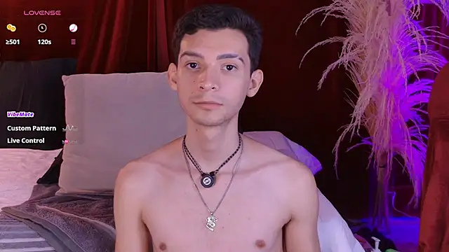 VicenteFerrer webcam