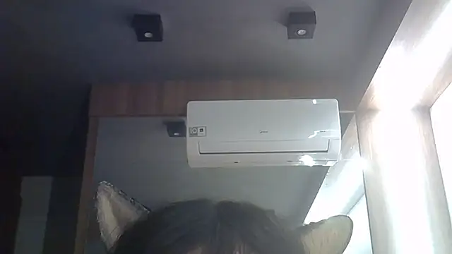 SkinnyKitten webcam