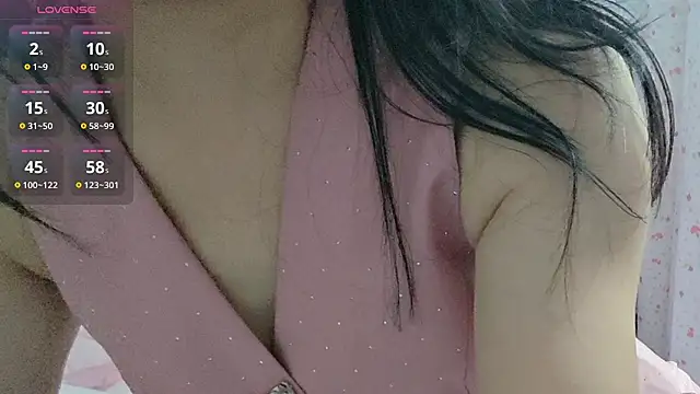 fanfan-FF webcam