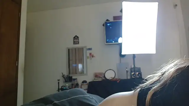 3littles webcam